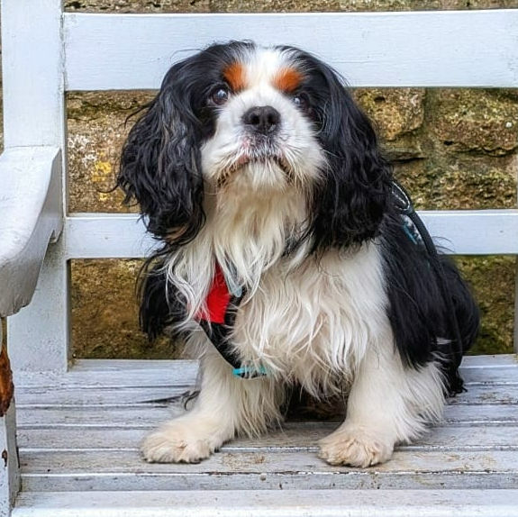 2024_2025 - Murphy - 3.jpg